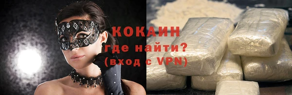 метадон Алексин