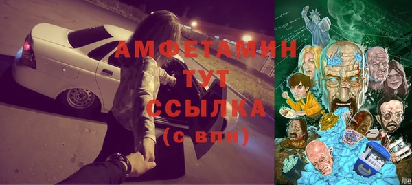 метадон Алексин