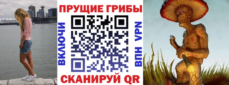 купить закладку  Аша  ОМГ ОМГ ONION  Псилоцибиновые грибы ЛСД 